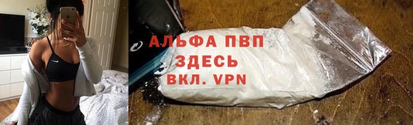 PSILOCYBIN Аркадак