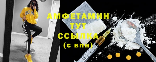 PSILOCYBIN Аркадак