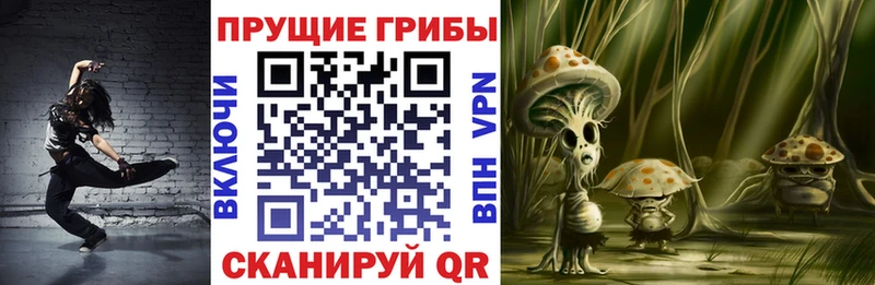 OMG как зайти Ирбит Галлюциногенные грибы Psilocybe наркотики